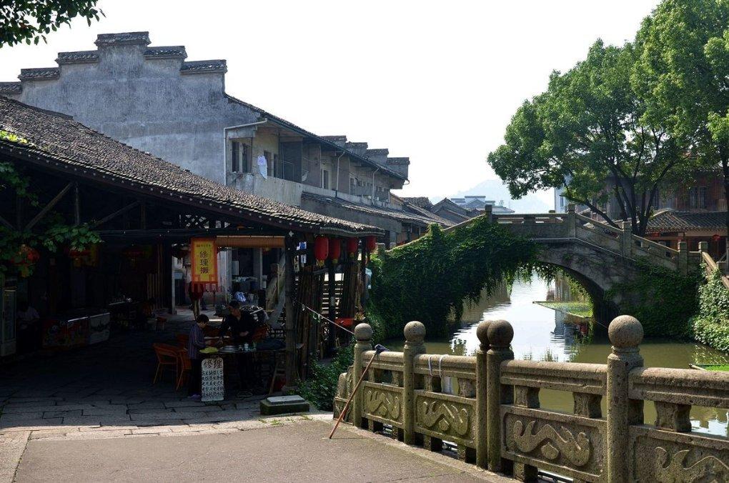漂亮鹦鹉救援